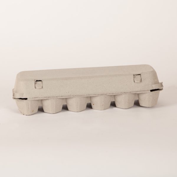 Flat Top Fibre Egg Carton