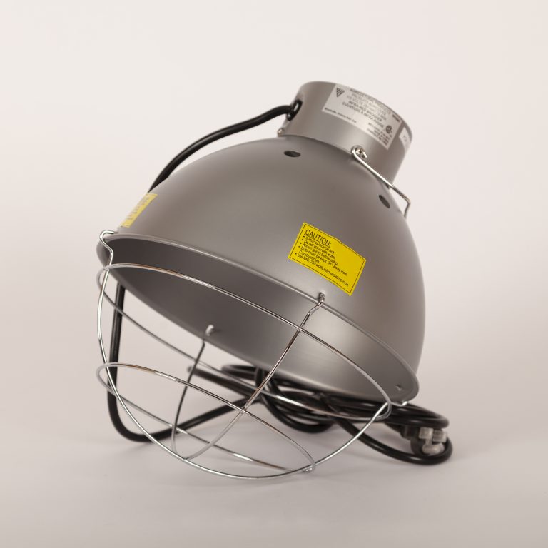 Heat Lamp ..Pullets Plus