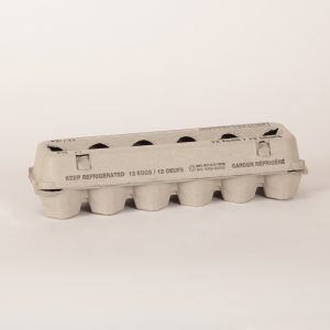 Open Top Fibre Generic Egg Carton