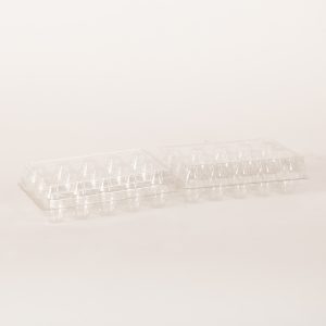 Quail Plastic Egg Carton