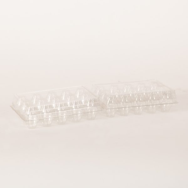 Quail Plastic Egg Carton