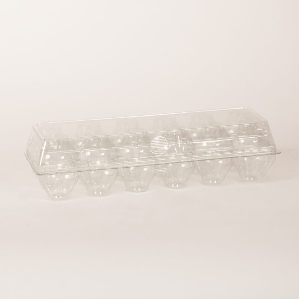 Super Jumbo Tri-fold Plastic Egg Carton