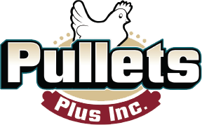 ..Pullets Plus