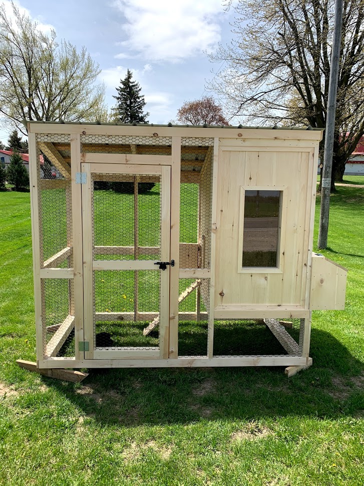 Chicken Coop Pullets Plus