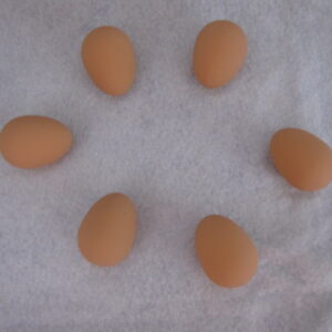 Rubber Nest Eggs