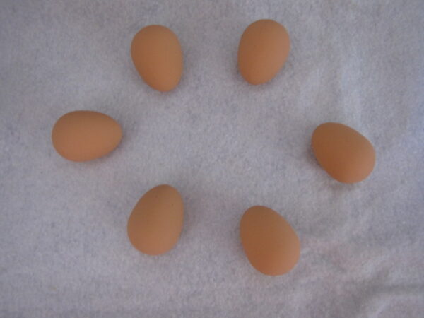 Rubber Nest Eggs