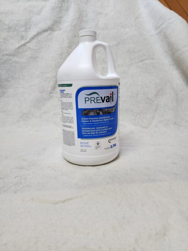 Prevail 4L - Image 5
